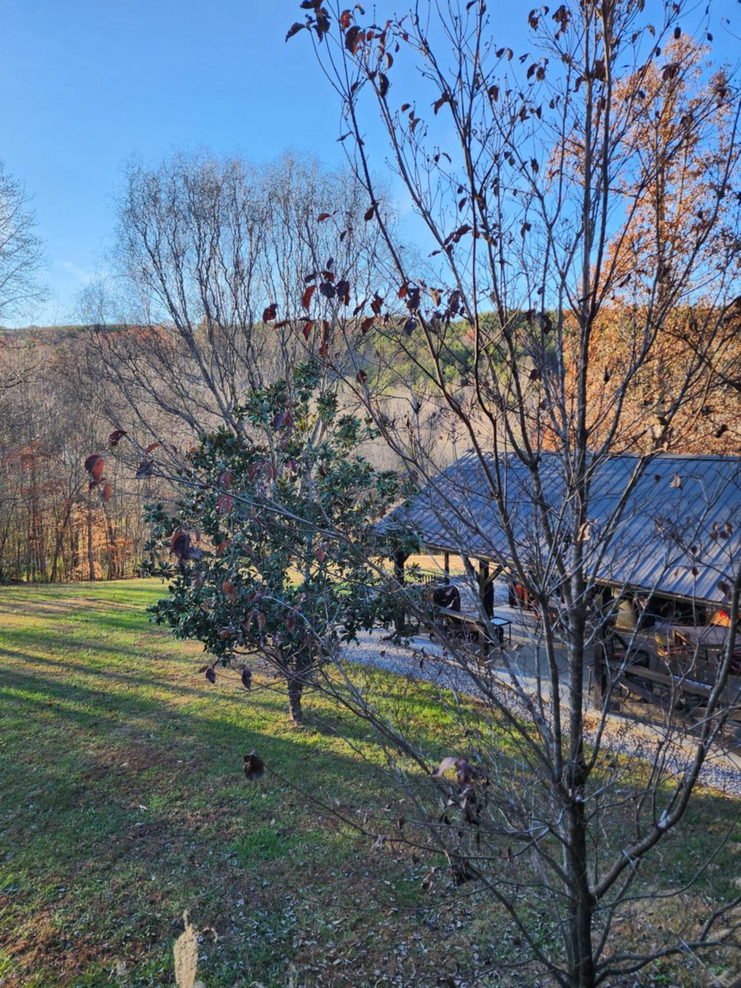 Lodge At Tellico Tellico Plains Esterno foto